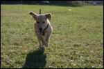 IMG_2663.jpg
