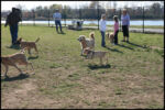 IMG_2636.jpg
