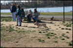 IMG_2634.jpg