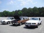Fox-a-Que2010038.jpg