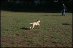 IMG_2814.jpg