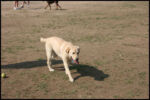 IMG_3825.jpg