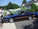 Fox-a-Que2010003.jpg