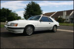 1986-mustang-svo-img_8585.jpg