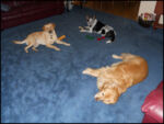 DSCN2530.jpg