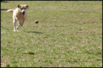 IMG_3793.jpg