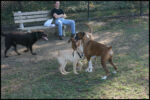 IMG_2800.jpg