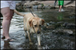 IMG_4842.jpg
