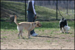 IMG_7974.jpg