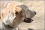 IMG_3776.jpg