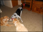 DSCN2453.jpg