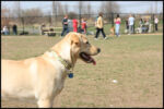 IMG_3830.jpg