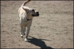 IMG_7939.jpg