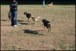 IMG_2689.jpg