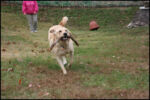 IMG_7166.jpg