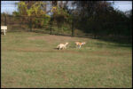 IMG_2994.jpg