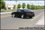 IMG_2335.jpg