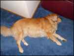 DSCN2518.jpg