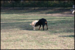 IMG_3076.jpg