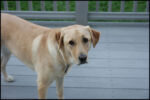 IMG_9848.jpg