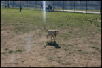 IMG_2827.jpg
