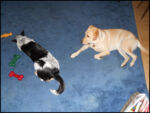 DSCN2520.jpg