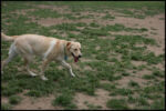 IMG_4656.jpg