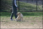 IMG_7977.jpg