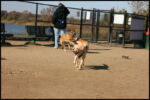 IMG_2644.jpg