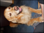 DSCN2442.jpg