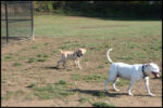 IMG_2576.jpg