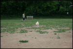 Dog Park 5-23-10
