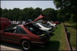 IMG_5586.jpg