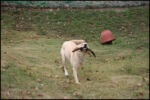 IMG_7245.jpg