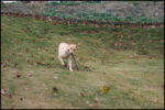IMG_7252.jpg