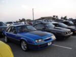 Fox-a-Que2010065.jpg