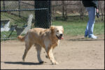 IMG_8032.jpg