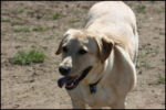 IMG_7998.jpg