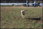 IMG_2962.jpg