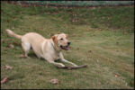 IMG_7270.jpg