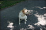 IMG_5234.jpg