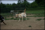 IMG_4650.jpg