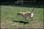 IMG_4416.jpg