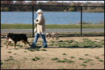 IMG_2624.jpg