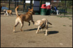 IMG_2646.jpg