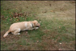 IMG_7189.jpg