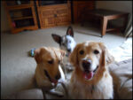 DSCN2478.jpg