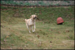 IMG_7244.jpg