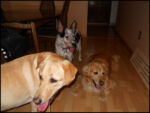 DSCN2436.jpg