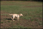 IMG_2811.jpg